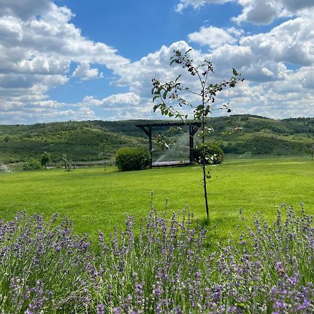 Colina Verde Resort Chisinau Ngoại thất bức ảnh