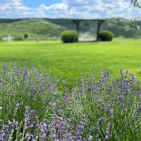 Colina Verde Resort Chisinau Ngoại thất bức ảnh